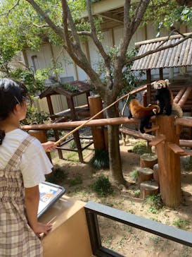 姫路セントラルパークに投稿された画像（2024/9/14）