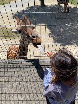 姫路セントラルパークに投稿された画像（2024/9/14）