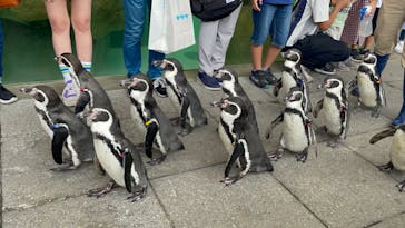 城崎マリンワールドに投稿された画像（2024/9/15）