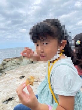 城崎マリンワールドに投稿された画像（2024/9/15）