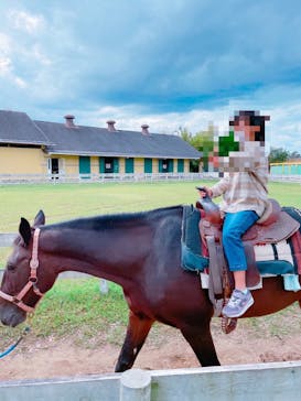 淡路ファームパーク イングランドの丘に投稿された画像（2024/9/15）