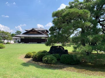 元離宮二条城に投稿された画像（2024/9/15）