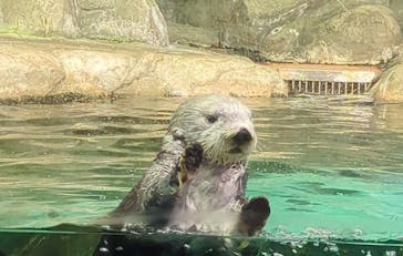 マリンワールド海の中道に投稿された画像（2024/9/14）