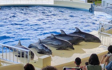マリンワールド海の中道に投稿された画像（2024/9/14）