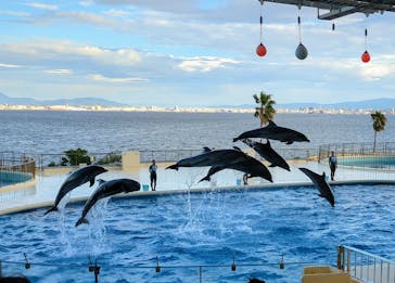 マリンワールド海の中道に投稿された画像（2024/9/14）