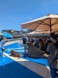 大分マリーンパレス水族館 「うみたまご」に投稿された画像（2024/9/15）