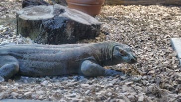 名古屋市東山動植物園に投稿された画像（2024/9/15）