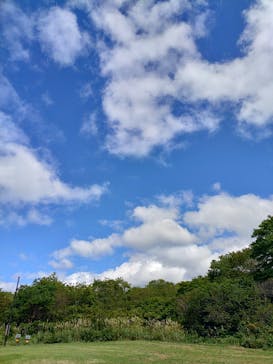 ひるがのピクニックガーデンに投稿された画像（2024/9/15）