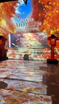 マクセル アクアパーク品川に投稿された画像（2024/9/15）