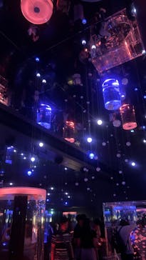 マクセル アクアパーク品川に投稿された画像（2024/9/15）