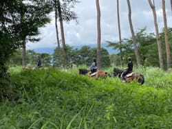 ホースファーム　ポラリスに投稿された画像（2024/9/15）