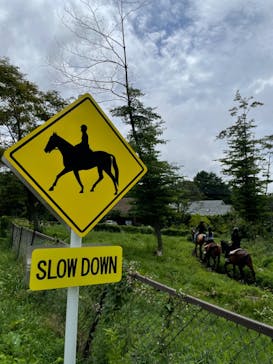 ホースファーム　ポラリスに投稿された画像（2024/9/15）