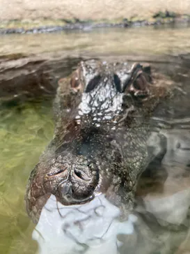 仙台うみの杜水族館に投稿された画像（2024/9/15）