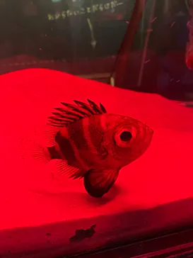 仙台うみの杜水族館に投稿された画像（2024/9/15）