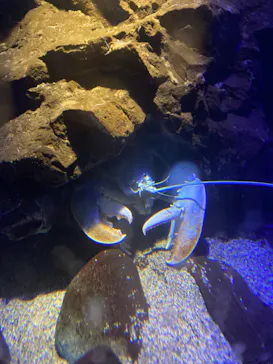 仙台うみの杜水族館に投稿された画像（2024/9/15）