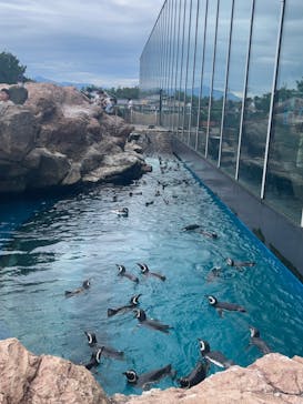 上越市立水族博物館 うみがたりに投稿された画像（2024/9/15）