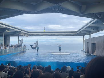 上越市立水族博物館 うみがたりに投稿された画像（2024/9/15）
