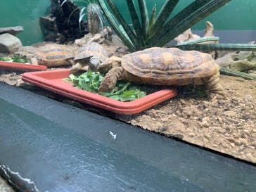 サンシャイン水族館に投稿された画像（2024/9/15）