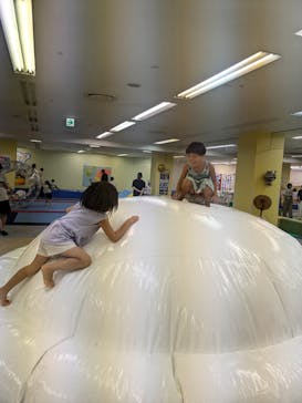 アメイジングワールド プリオ豊川店に投稿された画像（2024/9/15）