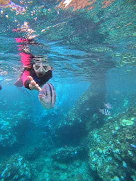 沖縄マリンサービス碧に投稿された画像（2024/9/15）