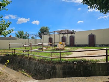 東武動物公園に投稿された画像（2024/9/15）