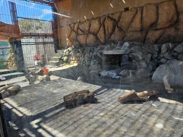 東武動物公園に投稿された画像（2024/9/15）