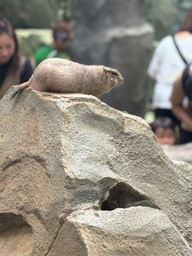 神戸どうぶつ王国に投稿された画像（2024/9/15）