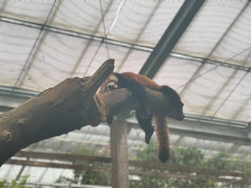 神戸どうぶつ王国に投稿された画像（2024/9/15）