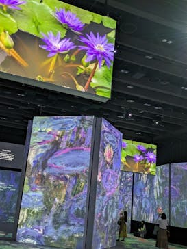 モネ＆フレンズ・アライブに投稿された画像（2024/9/15）