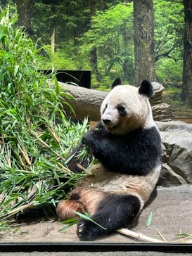 恩賜上野動物園に投稿された画像（2024/9/15）