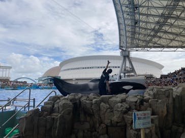 名古屋港水族館に投稿された画像（2024/9/15）