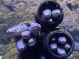 仙台うみの杜水族館に投稿された画像（2024/9/15）