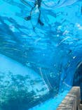 サンシャイン水族館に投稿された画像（2024/9/15）