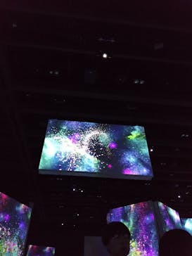 モネ＆フレンズ・アライブに投稿された画像（2024/9/15）