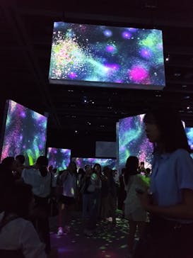 モネ＆フレンズ・アライブに投稿された画像（2024/9/15）