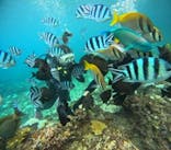 沖縄マリンサービス碧に投稿された画像（2024/9/15）