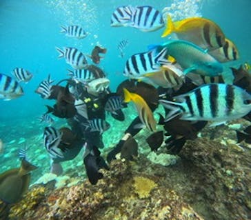 沖縄マリンサービス碧に投稿された画像（2024/9/15）