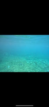 武藤潜水に投稿された画像（2024/9/15）