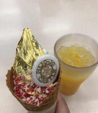 元離宮二条城に投稿された画像（2024/9/15）