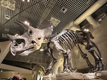 国立科学博物館に投稿された画像（2024/9/15）