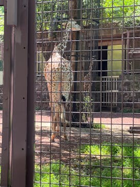 恩賜上野動物園に投稿された画像（2024/9/15）