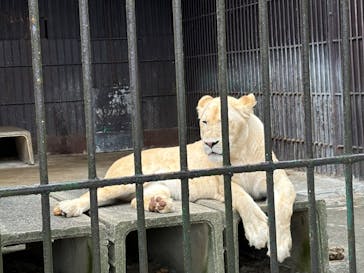 東北サファリパークに投稿された画像（2024/9/15）