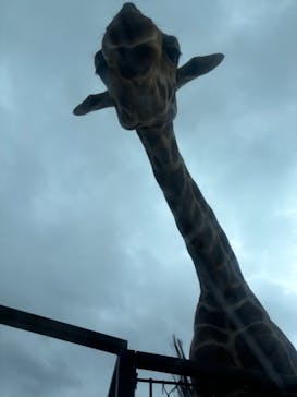 東北サファリパークに投稿された画像（2024/9/15）