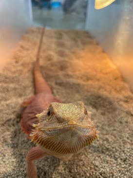 いきもの探検隊上尾に投稿された画像（2024/9/15）