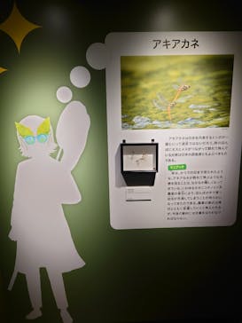 特別展「昆虫 MANIAC」（国立科学博物館）に投稿された画像（2024/9/15）