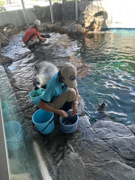 しながわ水族館に投稿された画像（2024/9/15）