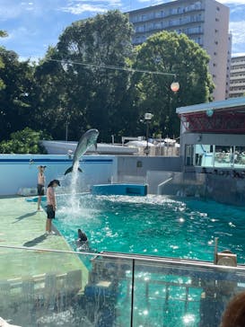 しながわ水族館に投稿された画像（2024/9/15）