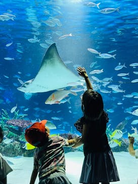 サンシャイン水族館に投稿された画像（2024/9/15）