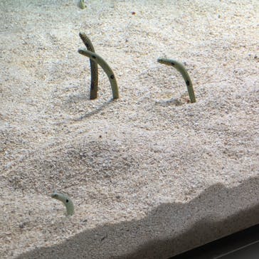 AOAO SAPPOROに投稿された画像（2024/9/15）