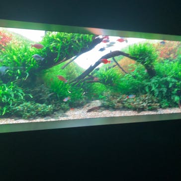 AOAO SAPPOROに投稿された画像（2024/9/15）